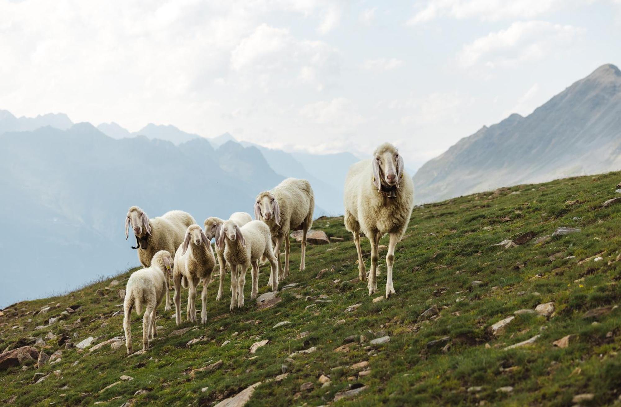 Apart Talblick Sölden Zewnętrze zdjęcie